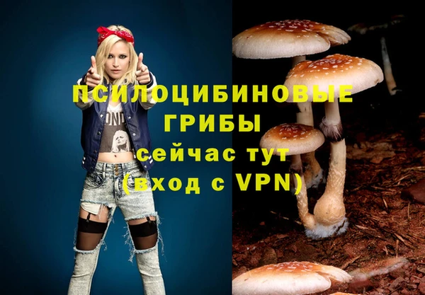 герыч Алексин