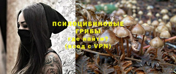 ПСИЛОЦИБИНОВЫЕ ГРИБЫ Гусиноозёрск
