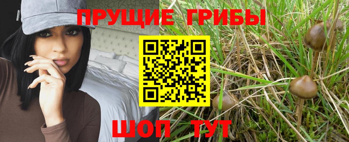 Дзержинск  Псилоцибиновые грибы мицелий  Псилоцибиновые грибы Cubensis  Вход с VPN 