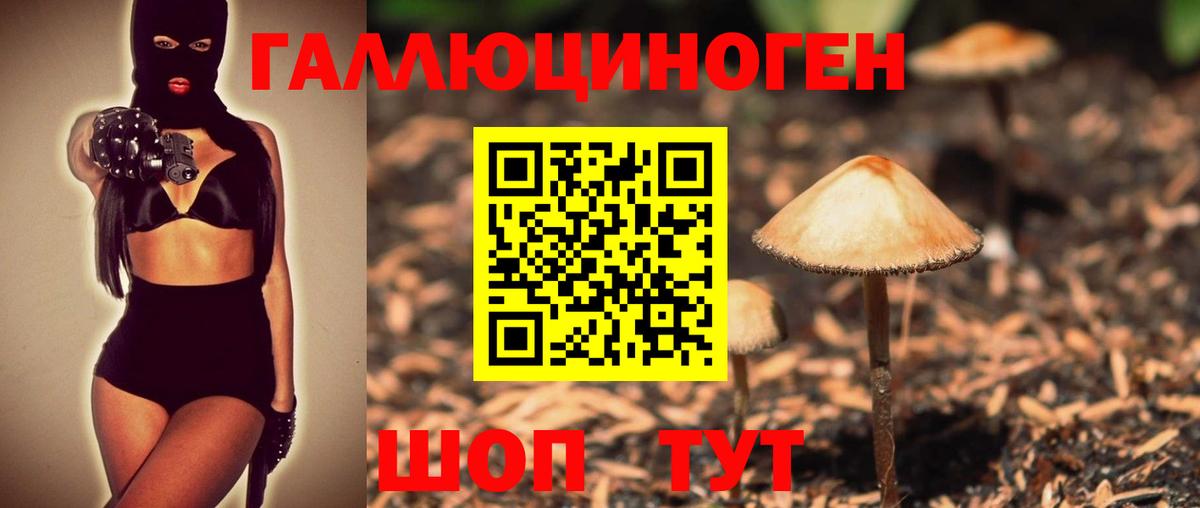 Псилоцибиновые грибы GOLDEN TEACHER Дзержинск